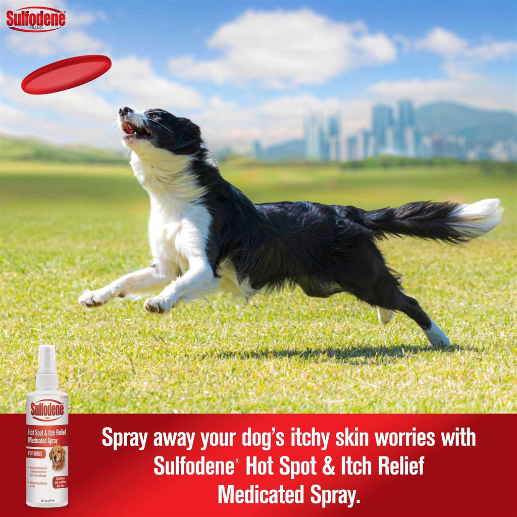 Hot Spot & Itch Relief Medicated Spray V3605