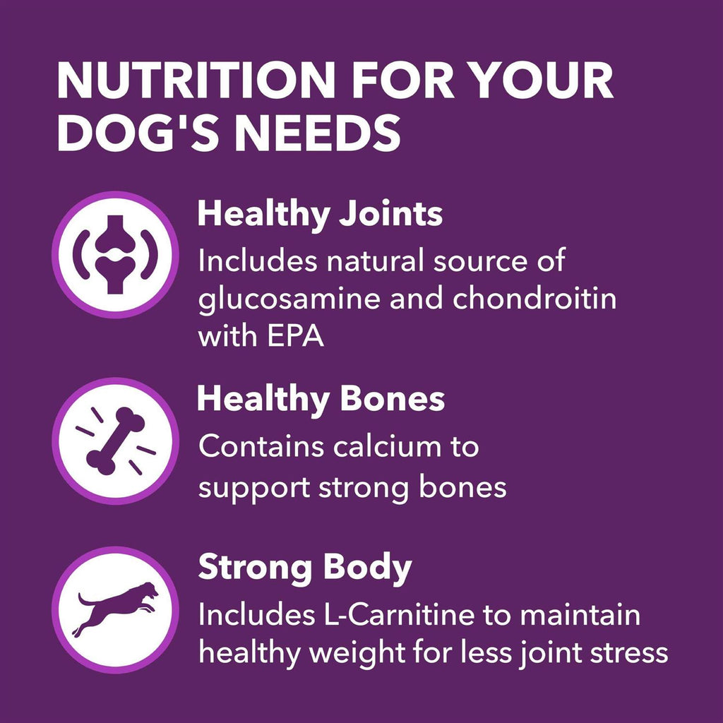 Chicken & Whole Grain Recipe Adult Dry Dog Food T4917