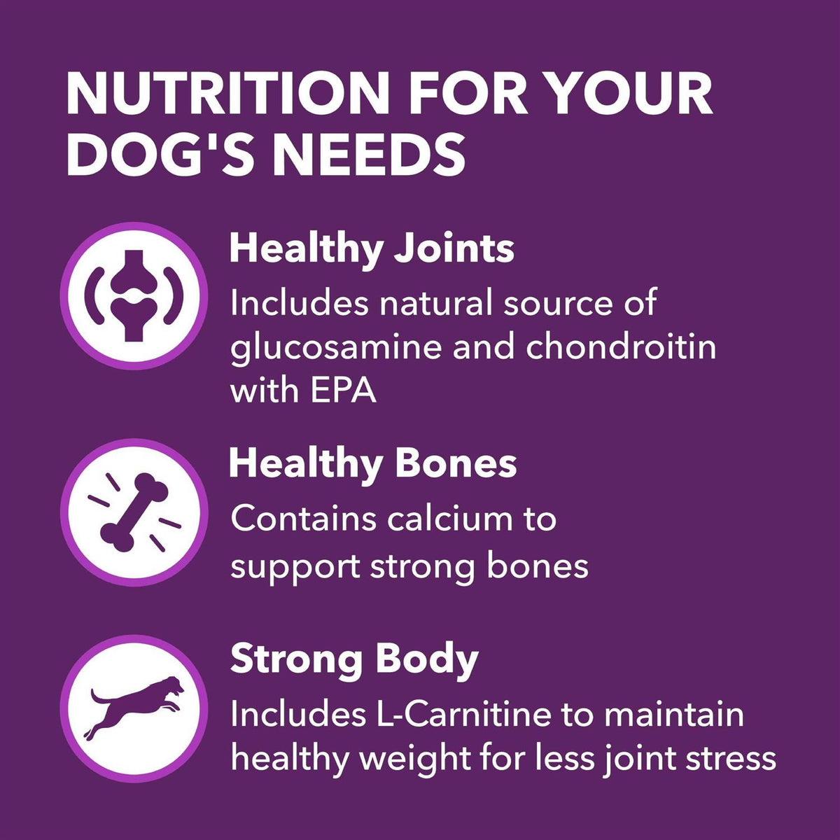 Chicken & Whole Grain Recipe Adult Dry Dog Food T4917