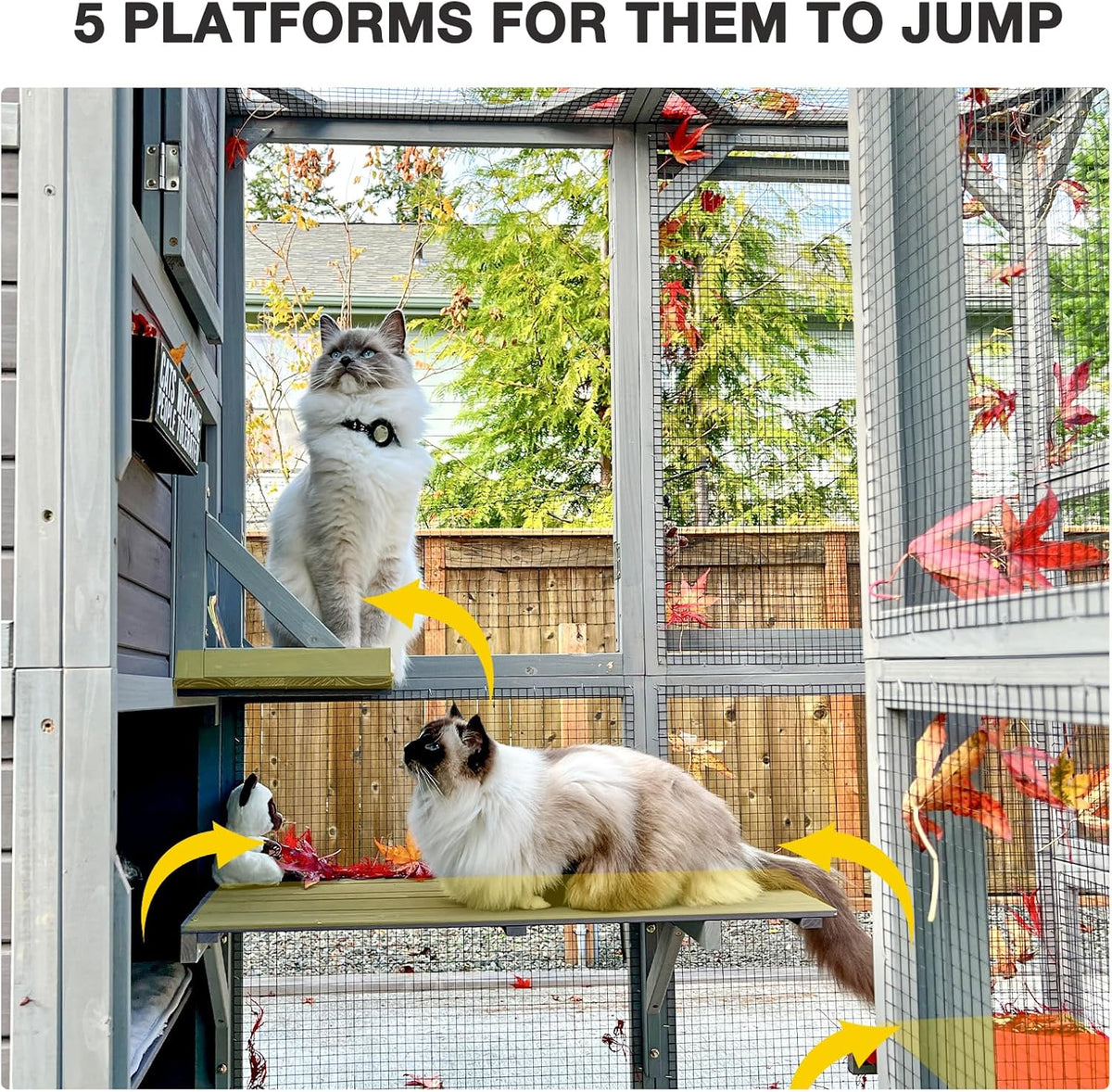 Large Cat House with 4 Levels, 77" L N272074