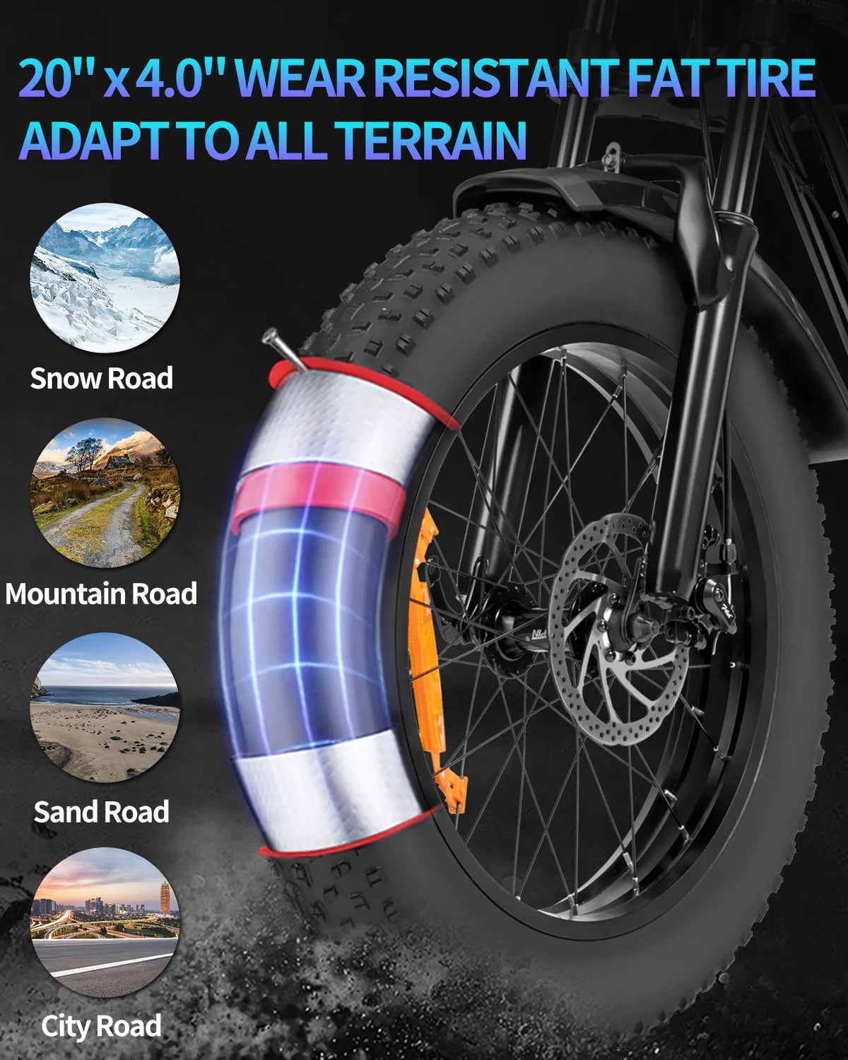 20 Fat Tire 1000W Electric Bike with 48V/20Ah Battery L375