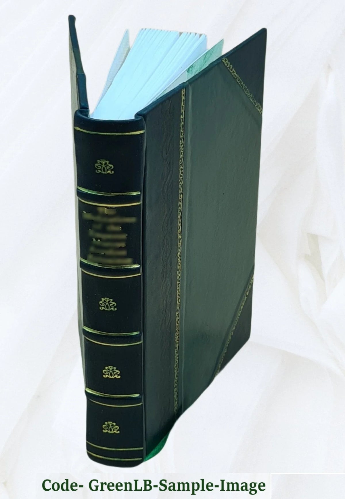 Recollections of a Diplomat 1918 Leather Bound B93901