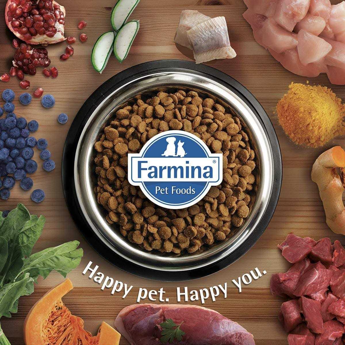 Adult Cat Food D598