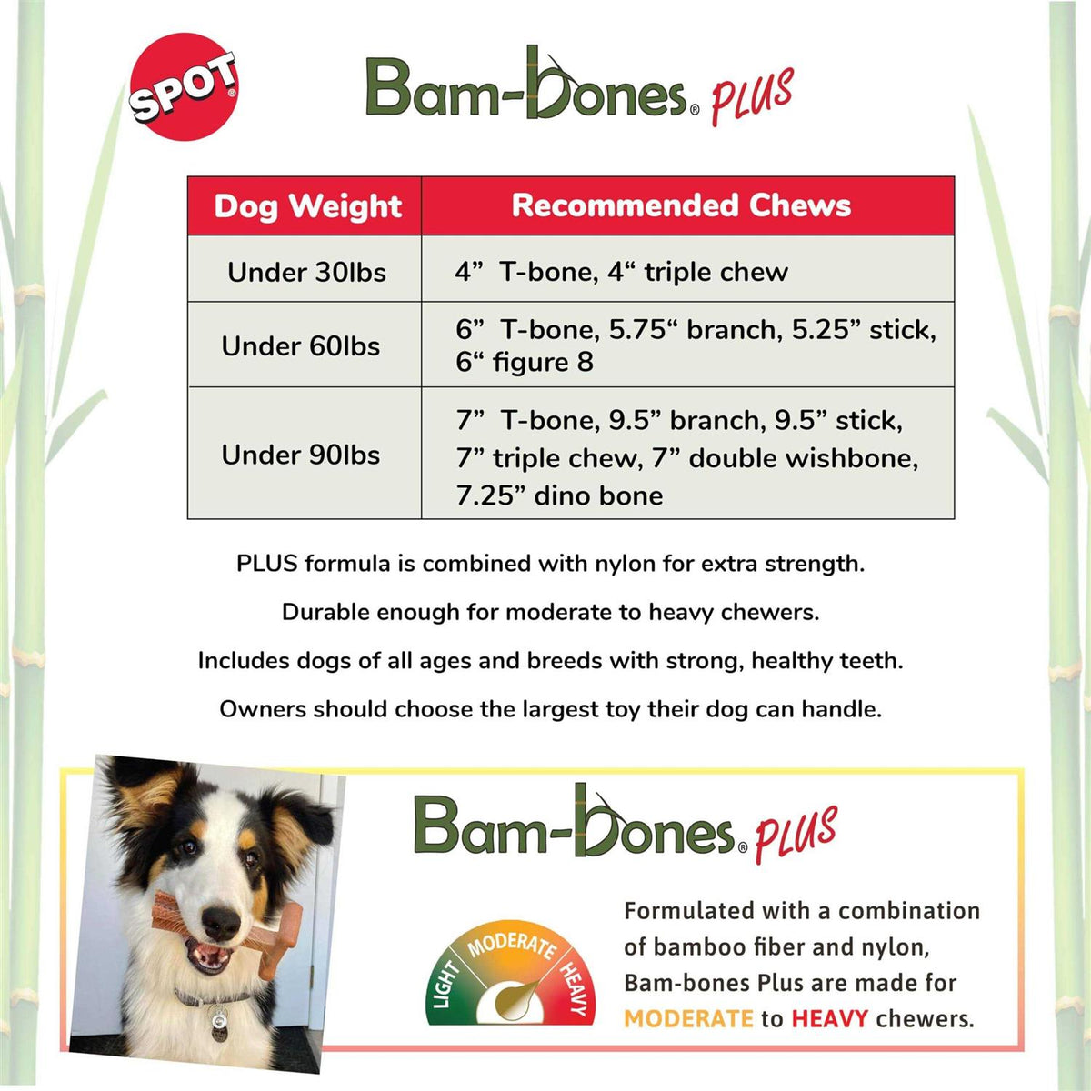 Beef Dog Chew Toy H445