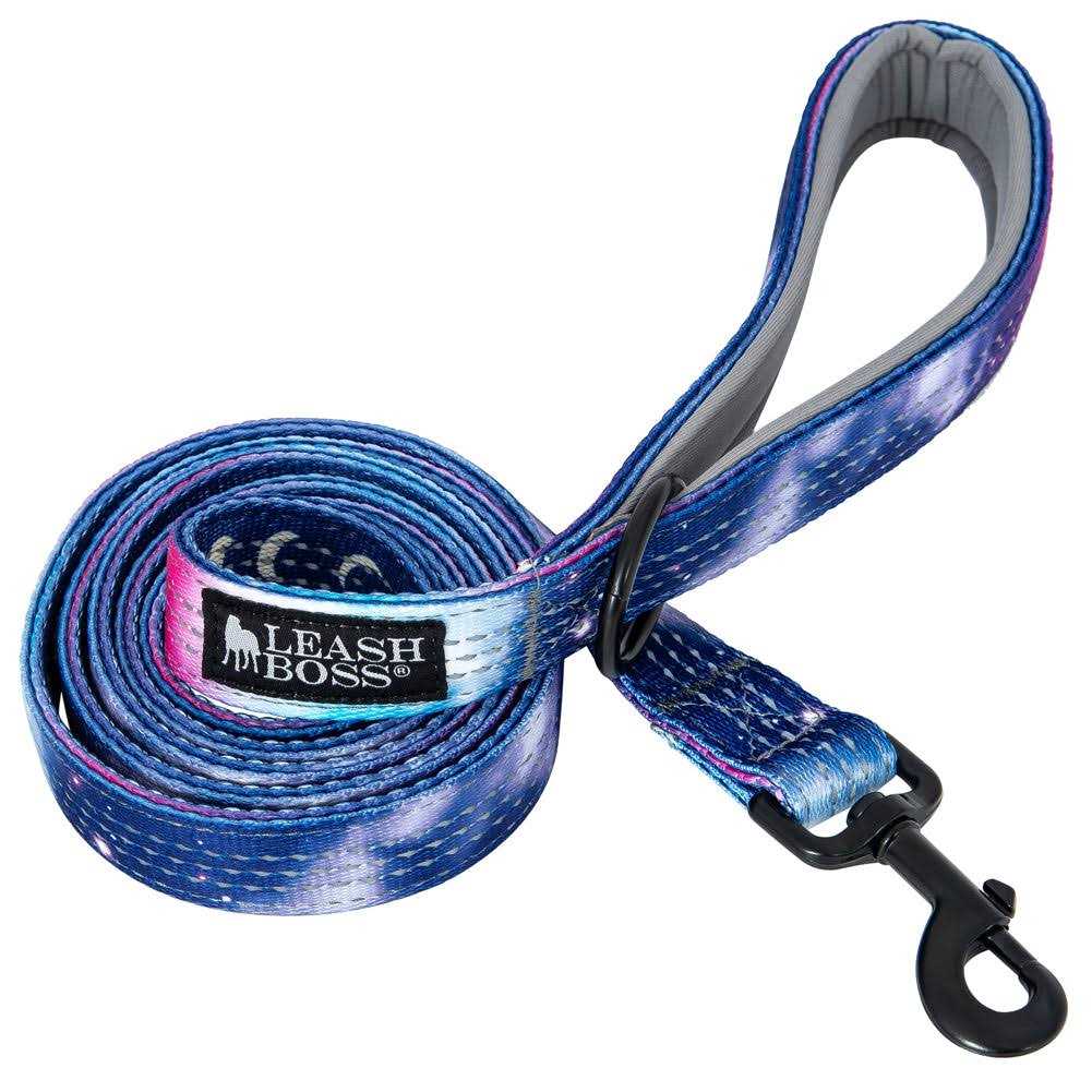 6ft Dog Leash Padded Handle W771