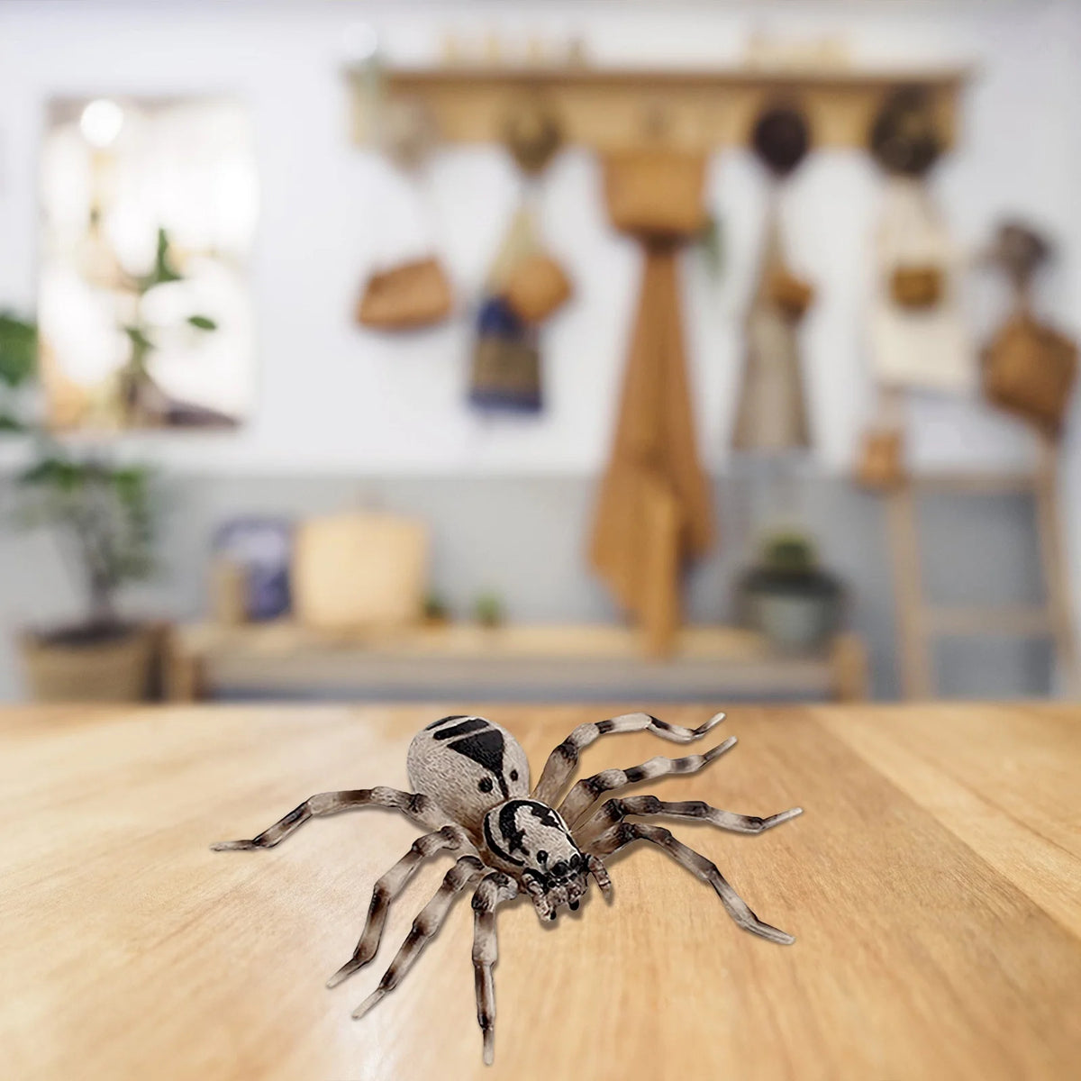 4 Piece Insect Animal Life Cycle Plastic Figures H40809