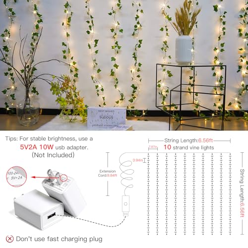 200 LED 6.5ft x 6.5ft Pothos Fairy Curtain Lights with Remote Warm White M851