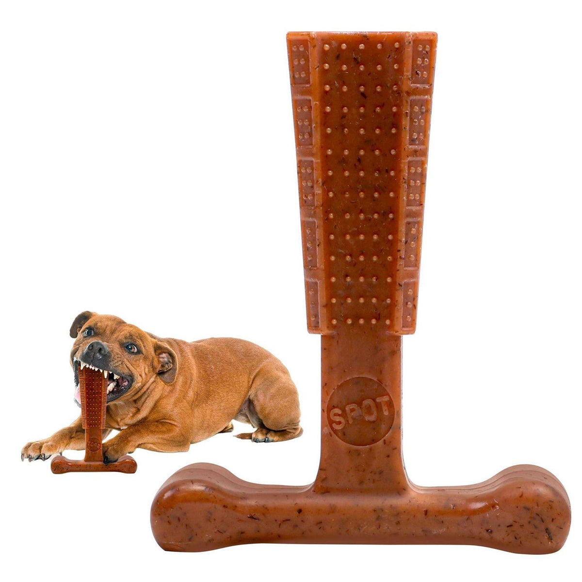 Beef Dog Chew Toy H445