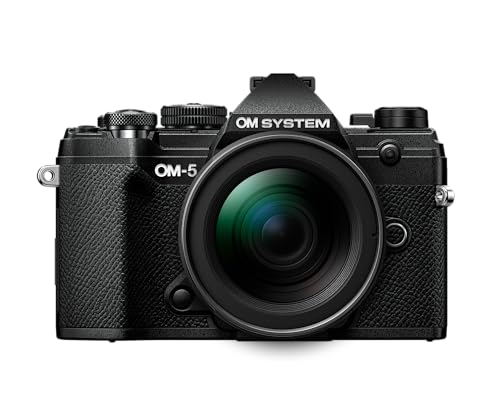 Black Mirrorless Camera U260