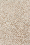Ash Taupe 5' x 7'6 Rug V4830