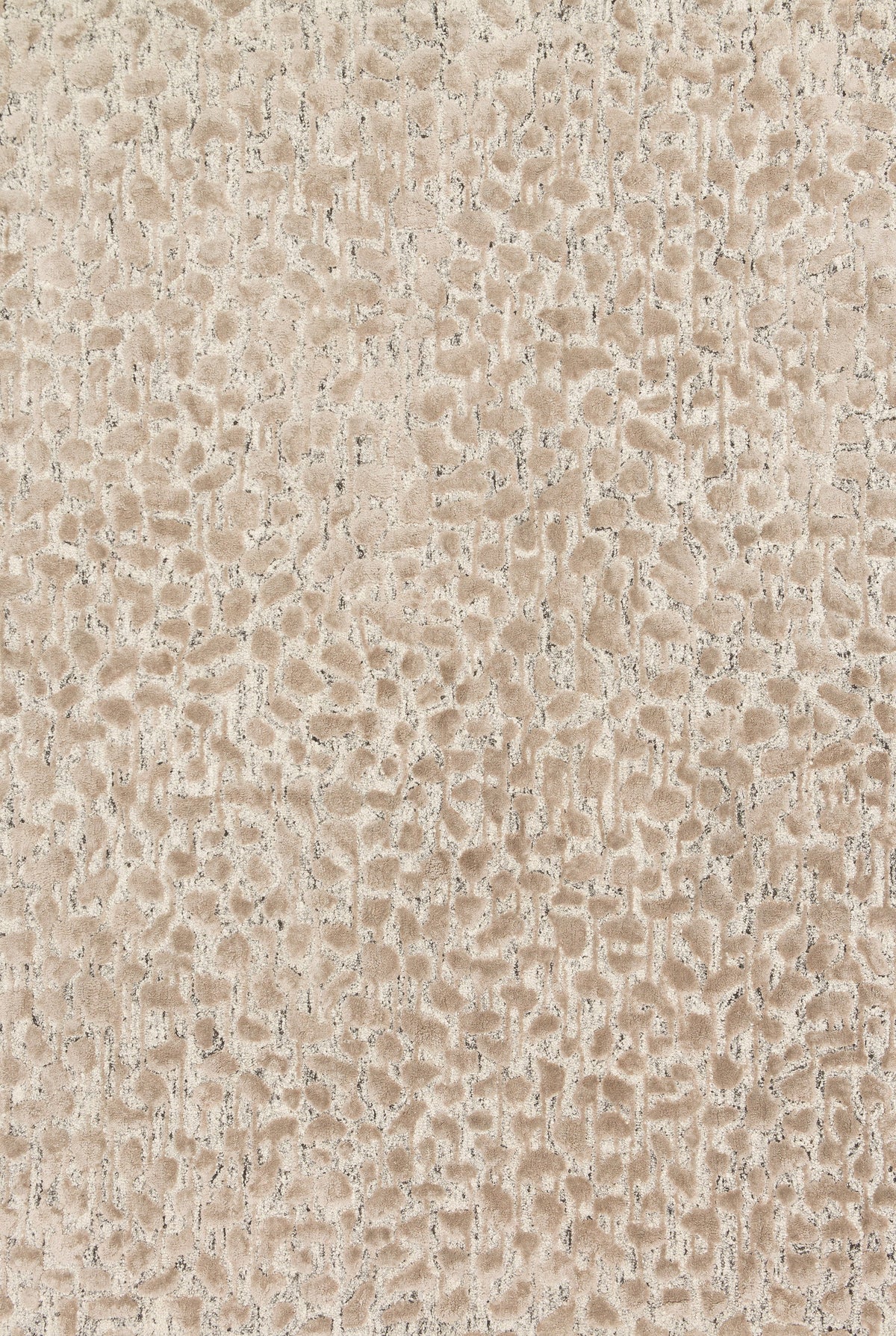 Ash Taupe 5' x 7'6 Rug V4830