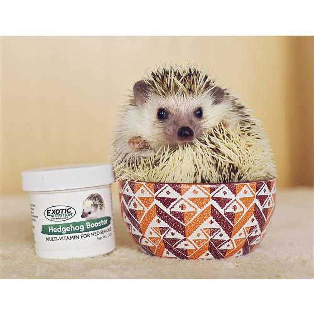 Hedgehog Home & Starter Package Cage Z437