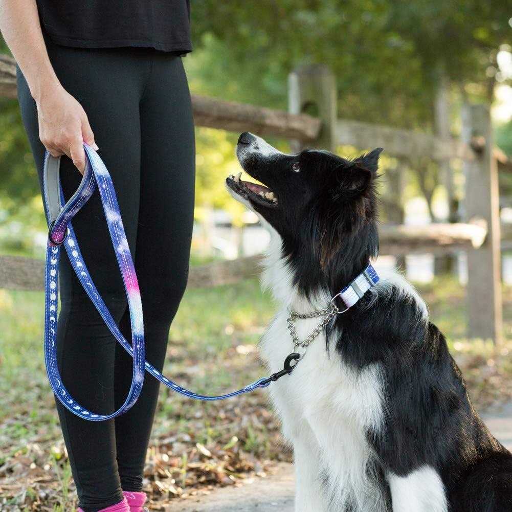Patterned Reflective Chain Martingale Dog Collar Q224333