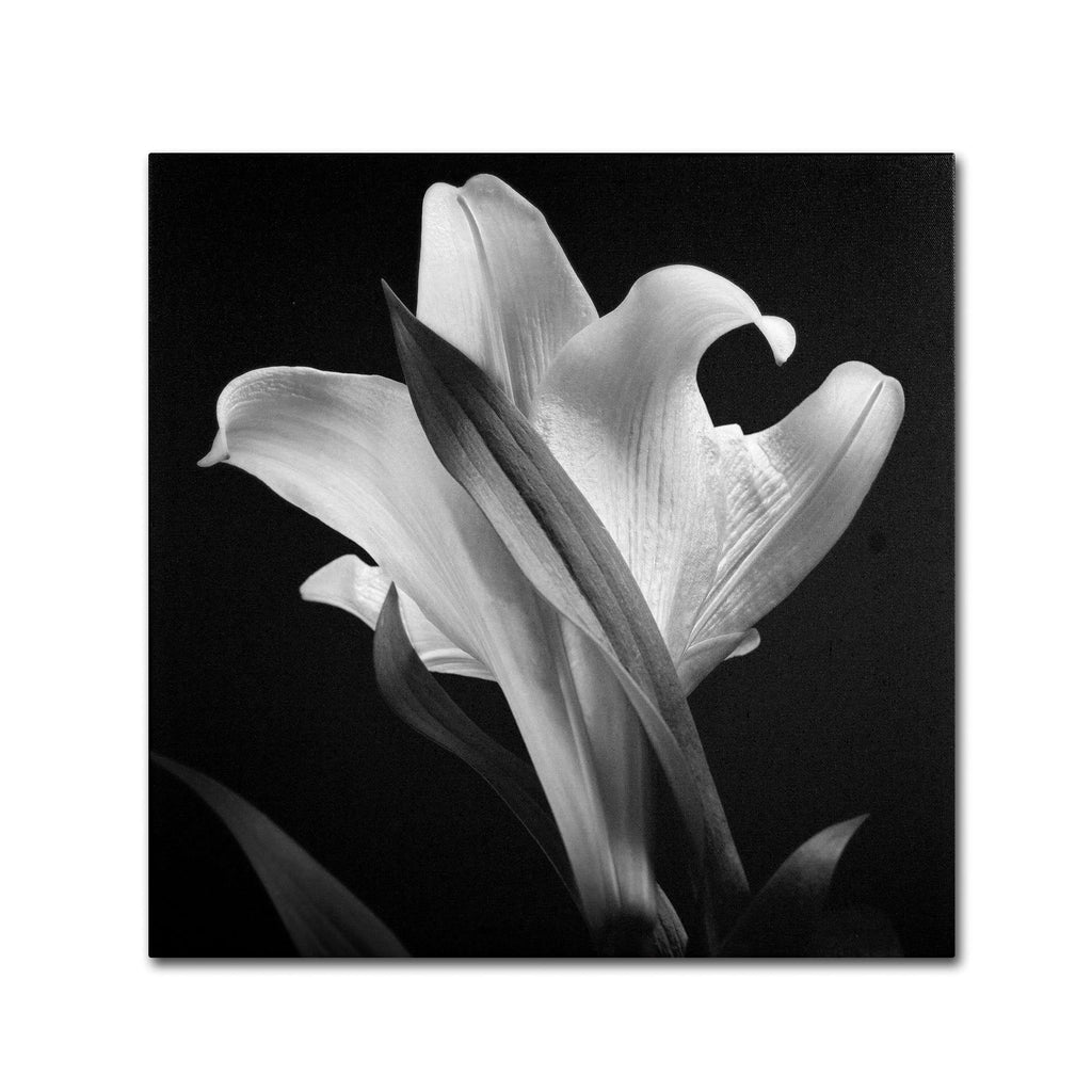 Canvas Art K200