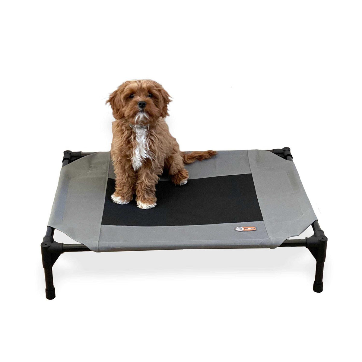 Elevated Pet Cot Z4739