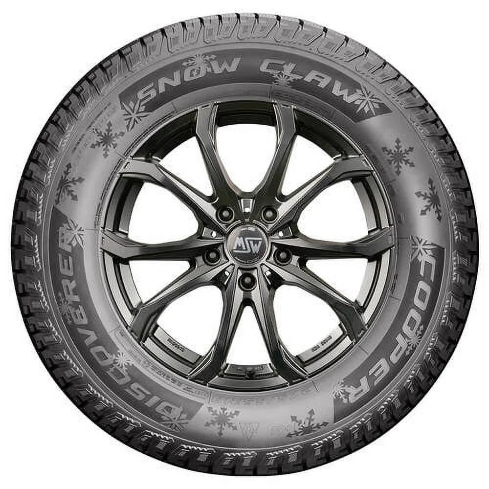 Winter Light Truck Tire B446076