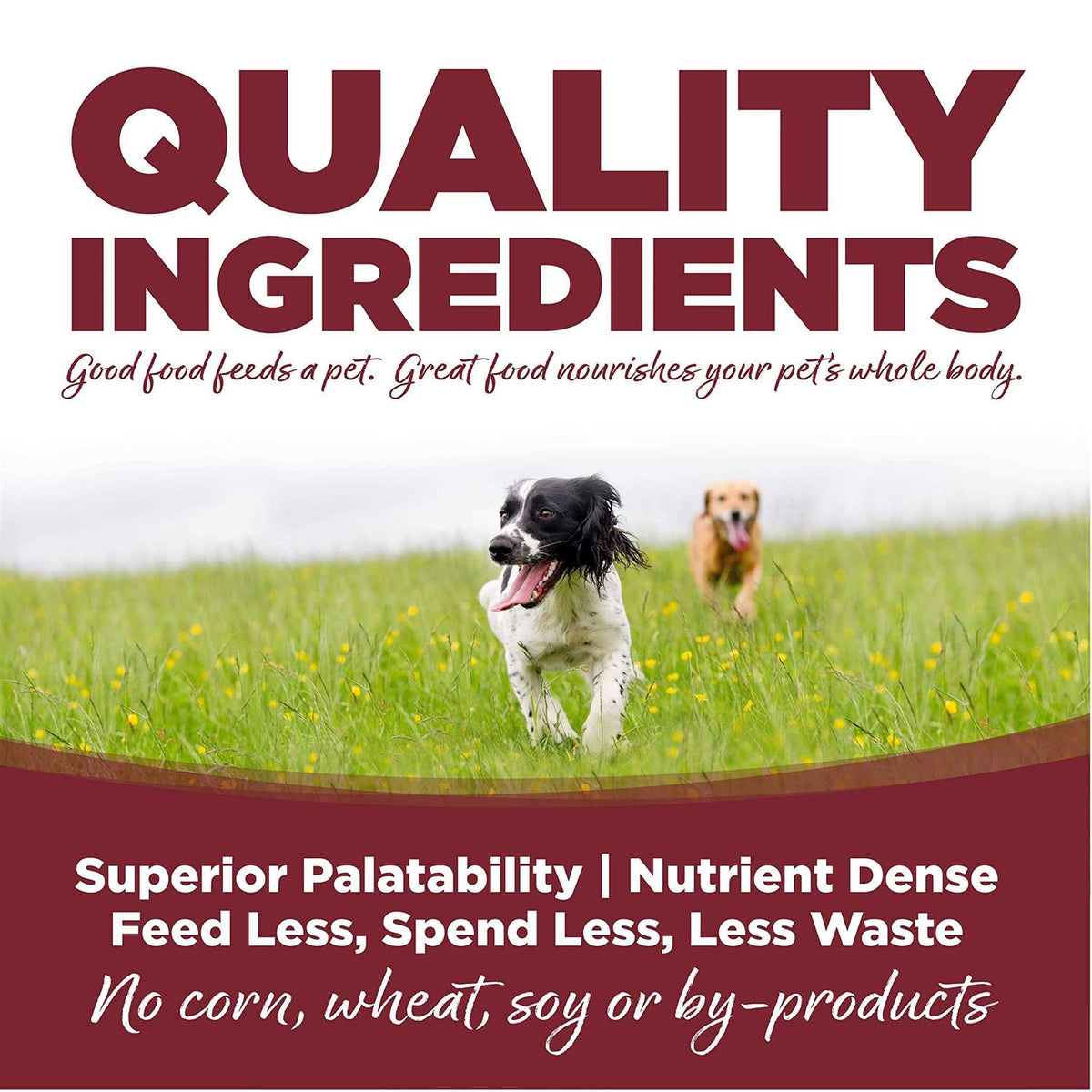 Beef Rice Dry Dog Food B327