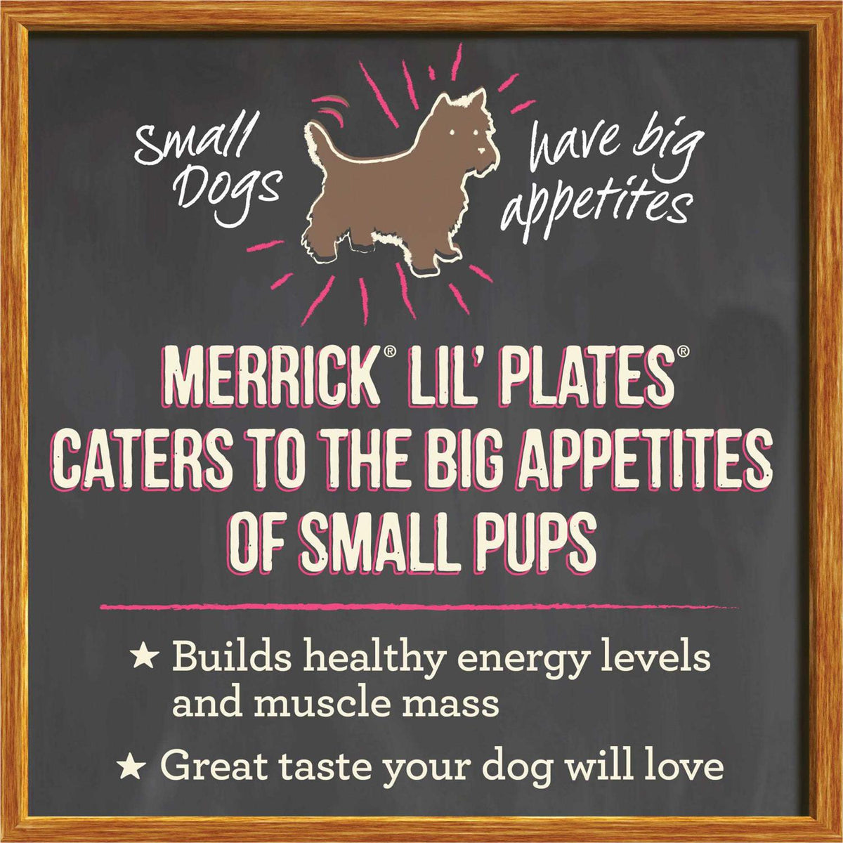 Grain Free Adult Wet Dog Food I781