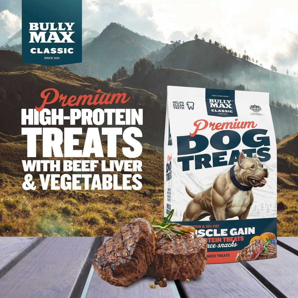 Premium Beef Dog Treats F71963