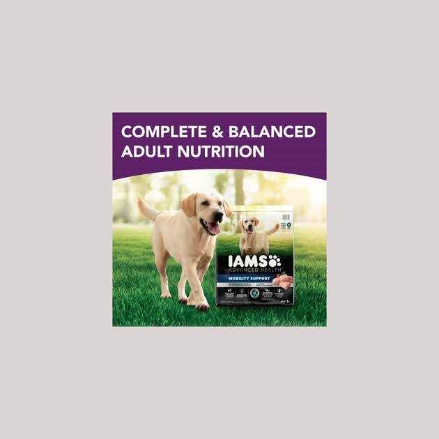 Chicken & Whole Grain Recipe Adult Dry Dog Food T4917
