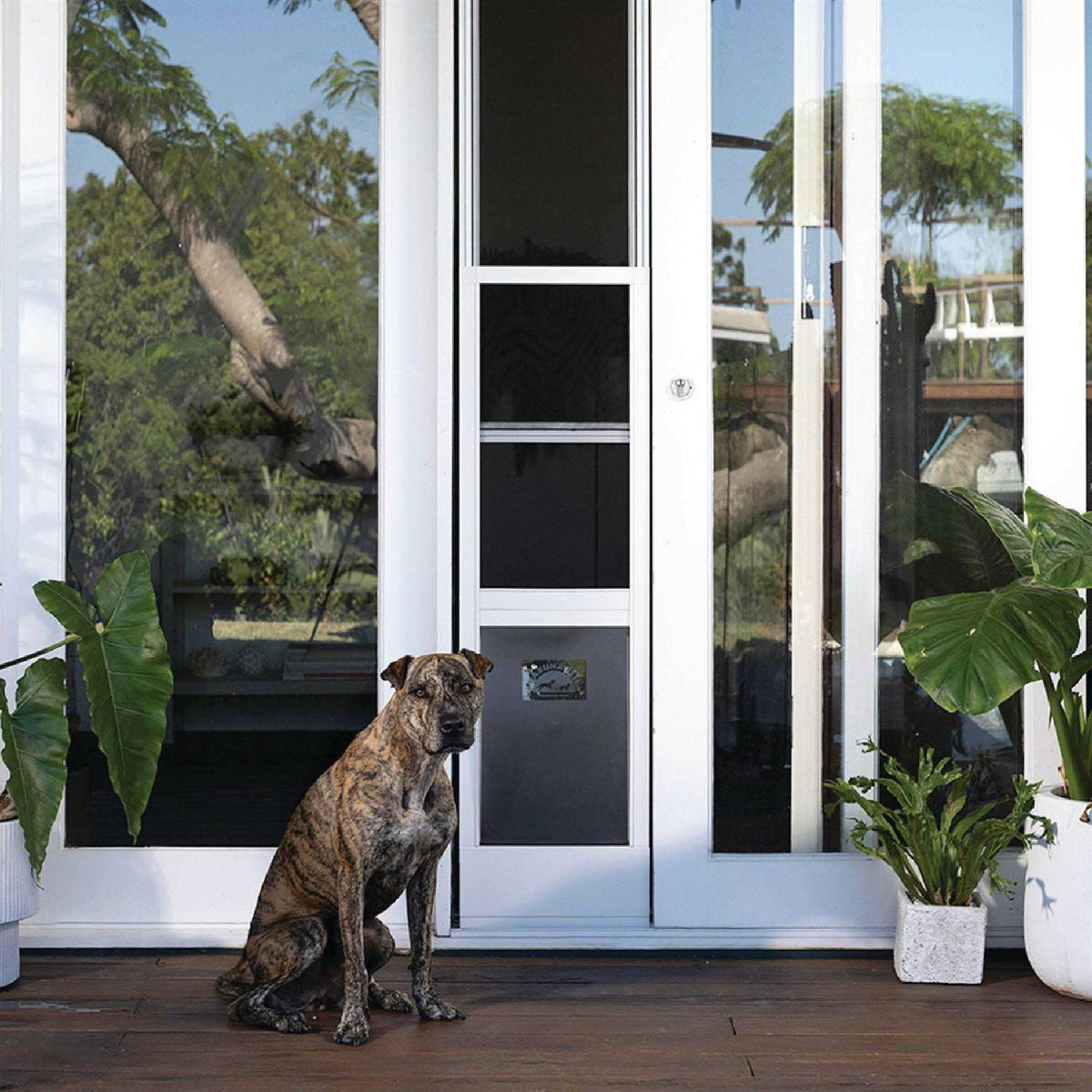 Patio Pet Door Screen Insert Panel for Sliding Doors C695534