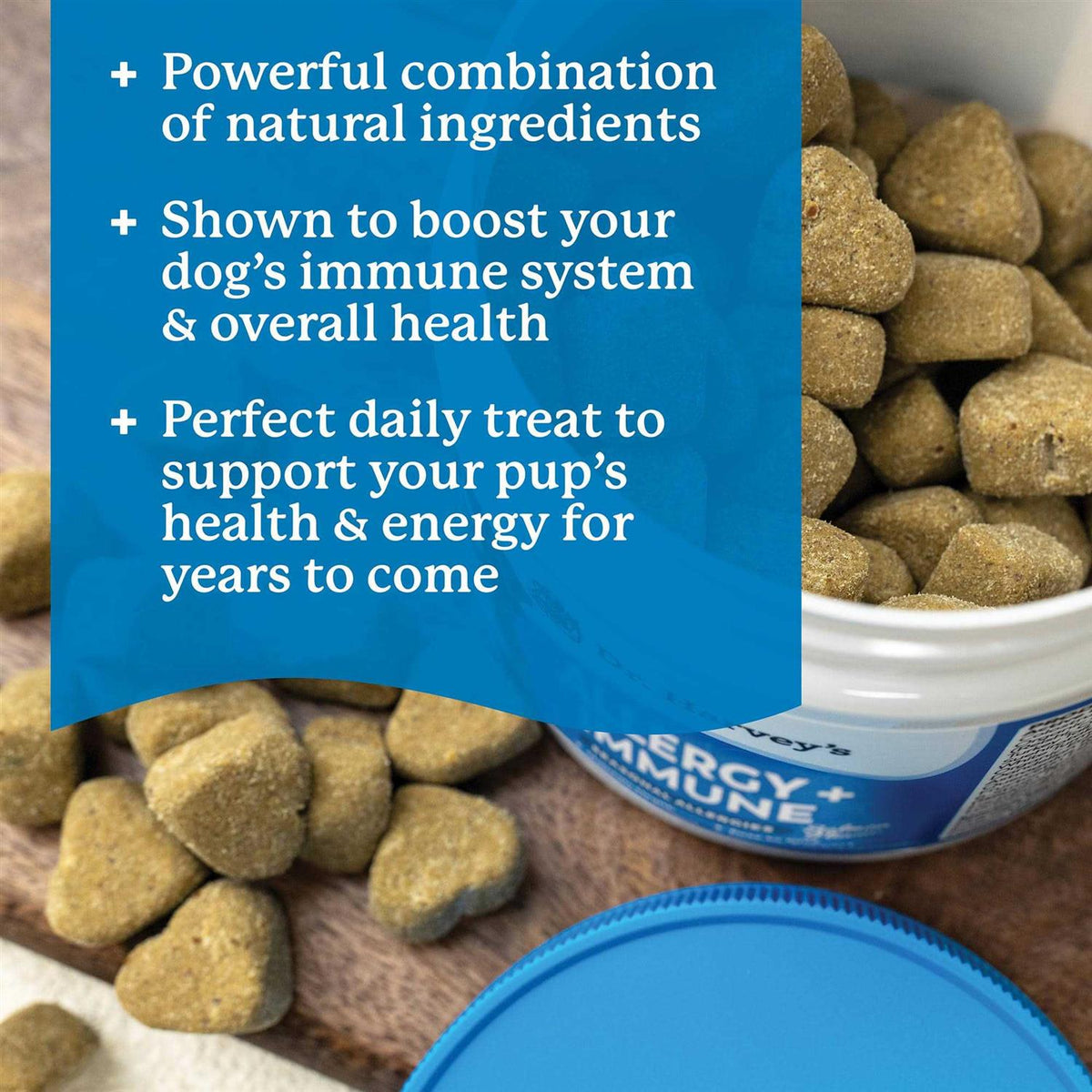 Allergy Immune Support Soft Chews for Dogs V421