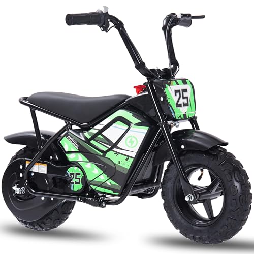 250W 24V 9Ah Electric Bike K1049