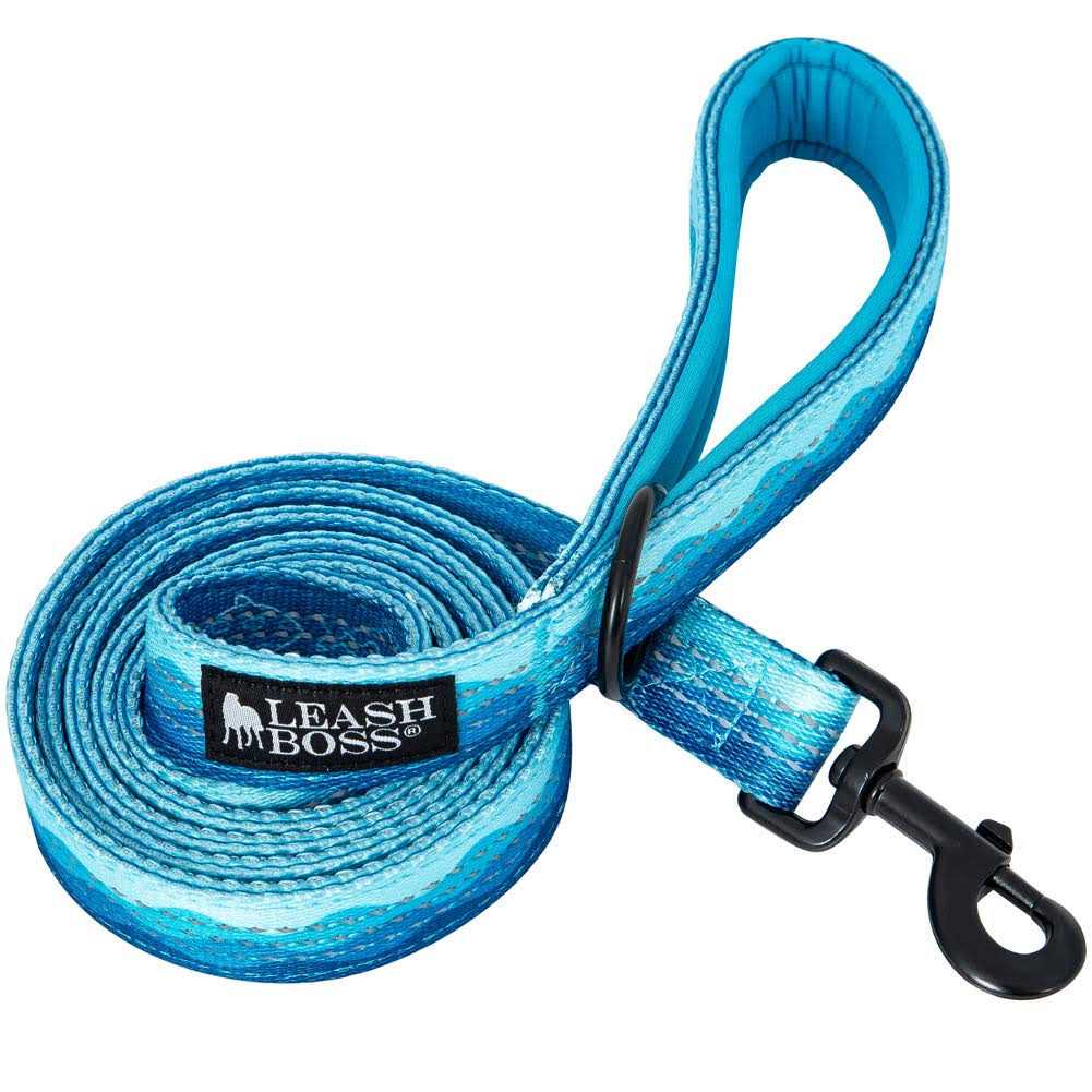 6ft Dog Leash Padded Handle W771
