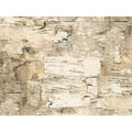 Paper Birch Gift Wrap Roll U289222