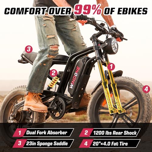 Electric Bike with 48V 13Ah/15Ah Battery, 20"/26'' Fat Tires H2793