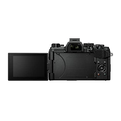 Black Mirrorless Camera U260