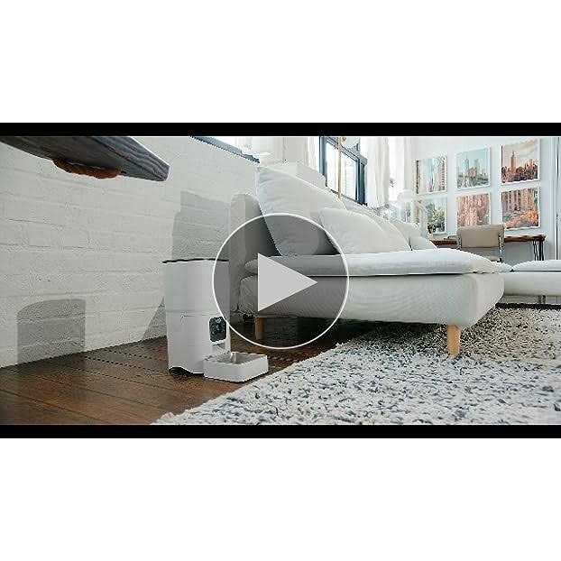 Automatic Cat Feeder 6-L with LCD Screen L55993