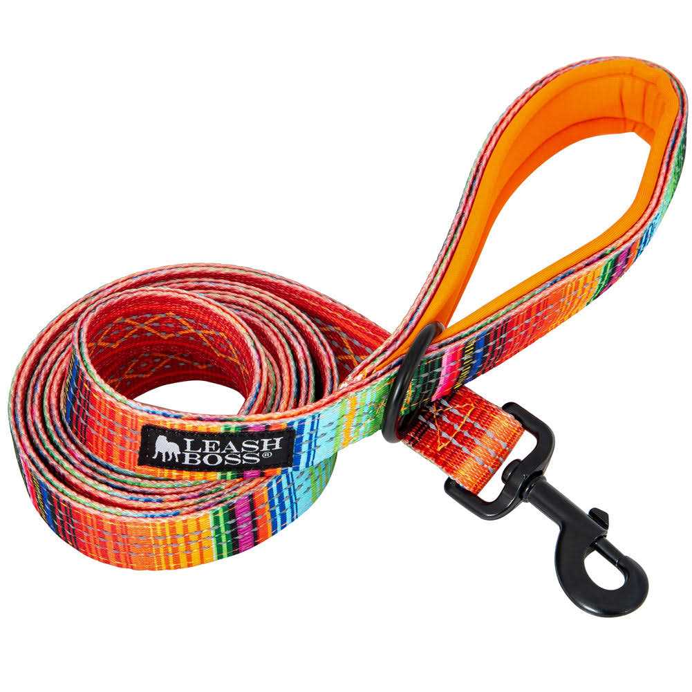 6ft Dog Leash Padded Handle W771