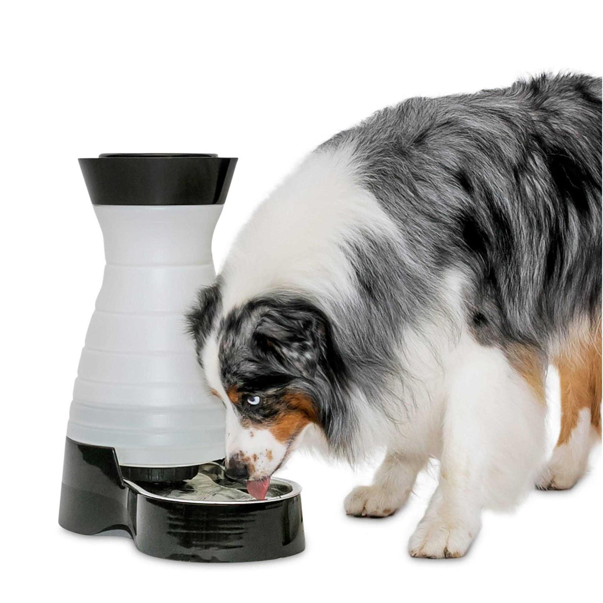 Healthy Pet Water Station B514572
