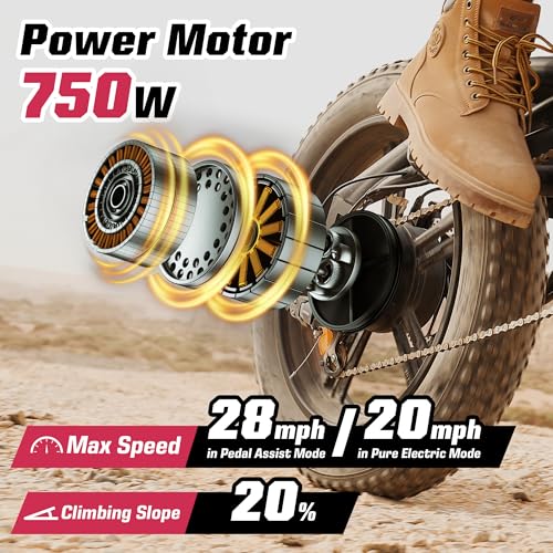 Electric Bike with 48V 13Ah/15Ah Battery, 20"/26'' Fat Tires H2793