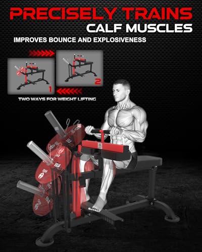 Seated Calf Raise Machine B86884