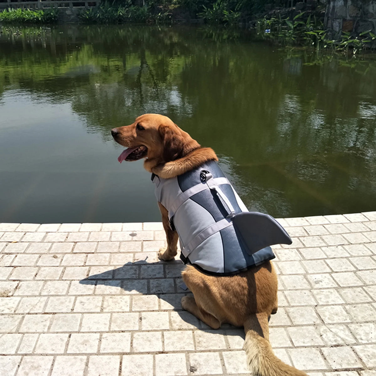 Lifejackets L43735