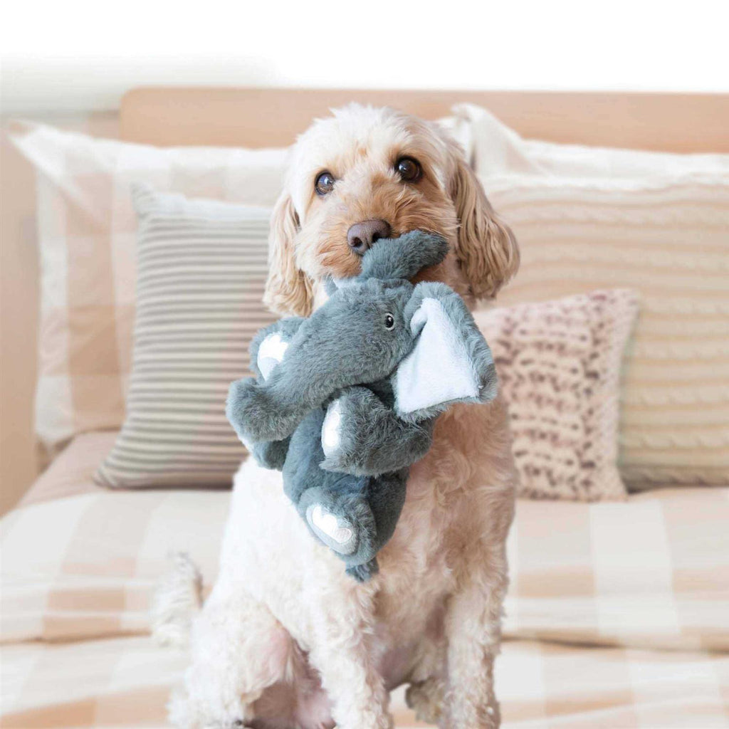 Bear Dog Toy Y780
