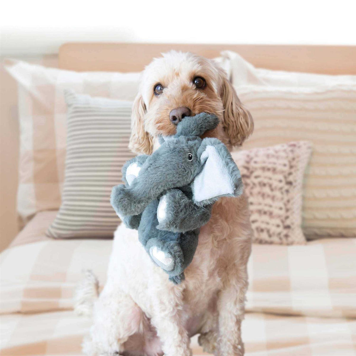 Bear Dog Toy Y780