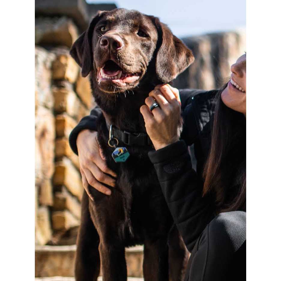 Silicone Dog ID Tag L510186