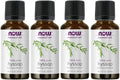 Hyssop Oil 1 Oz. 4 Pack V4654