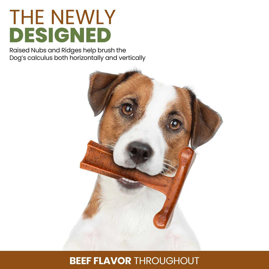 Beef Dog Chew Toy H445