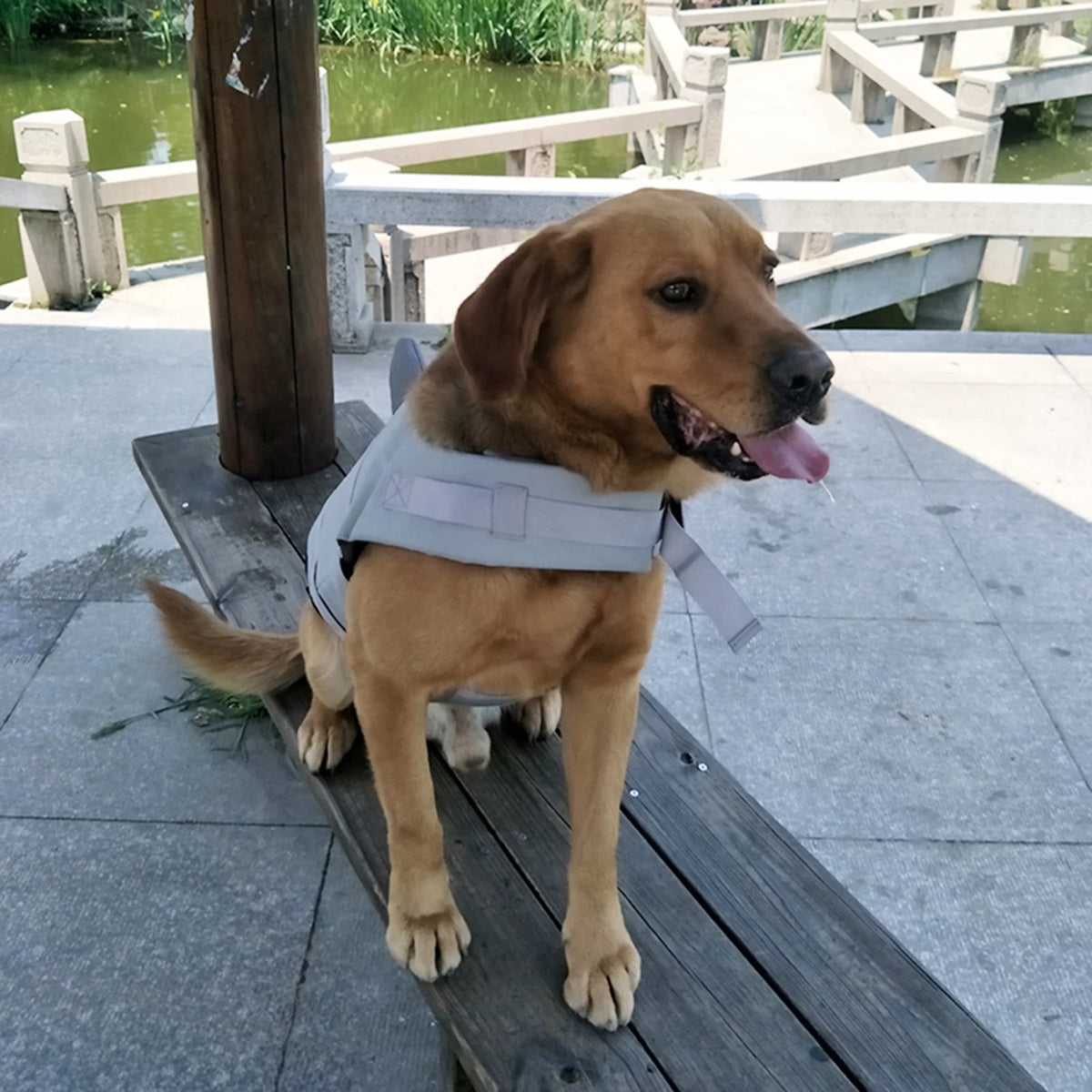Lifejackets L43735