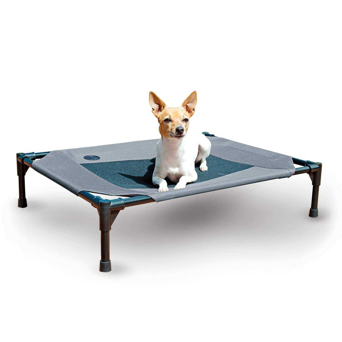 Elevated Pet Cot Z4739
