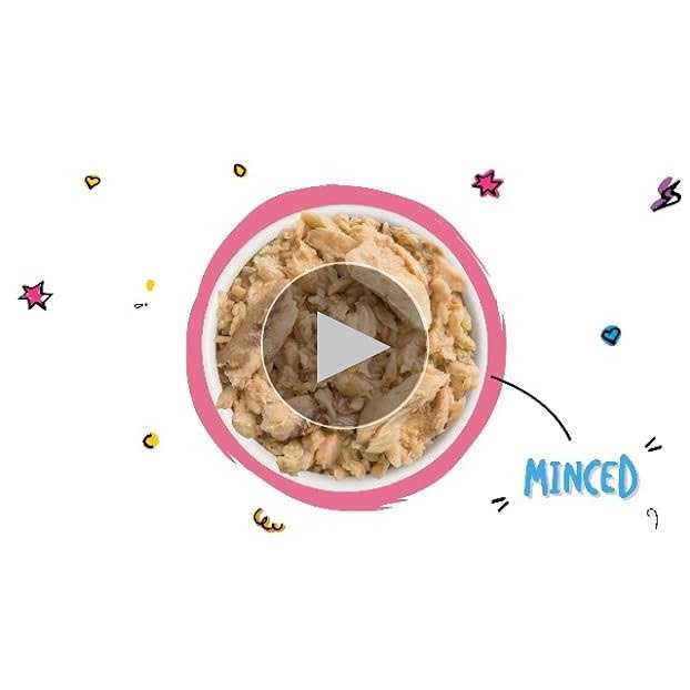 Cat Canned Food M9958