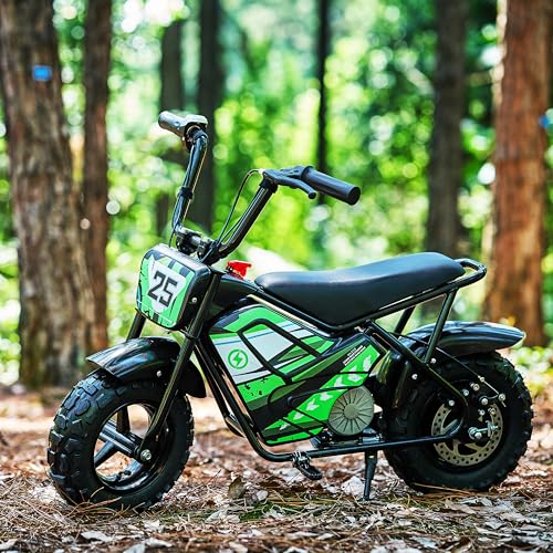 250W 24V 9Ah Electric Bike K1049