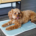 Sage Gray Self Cooling Pet Pad Y70179