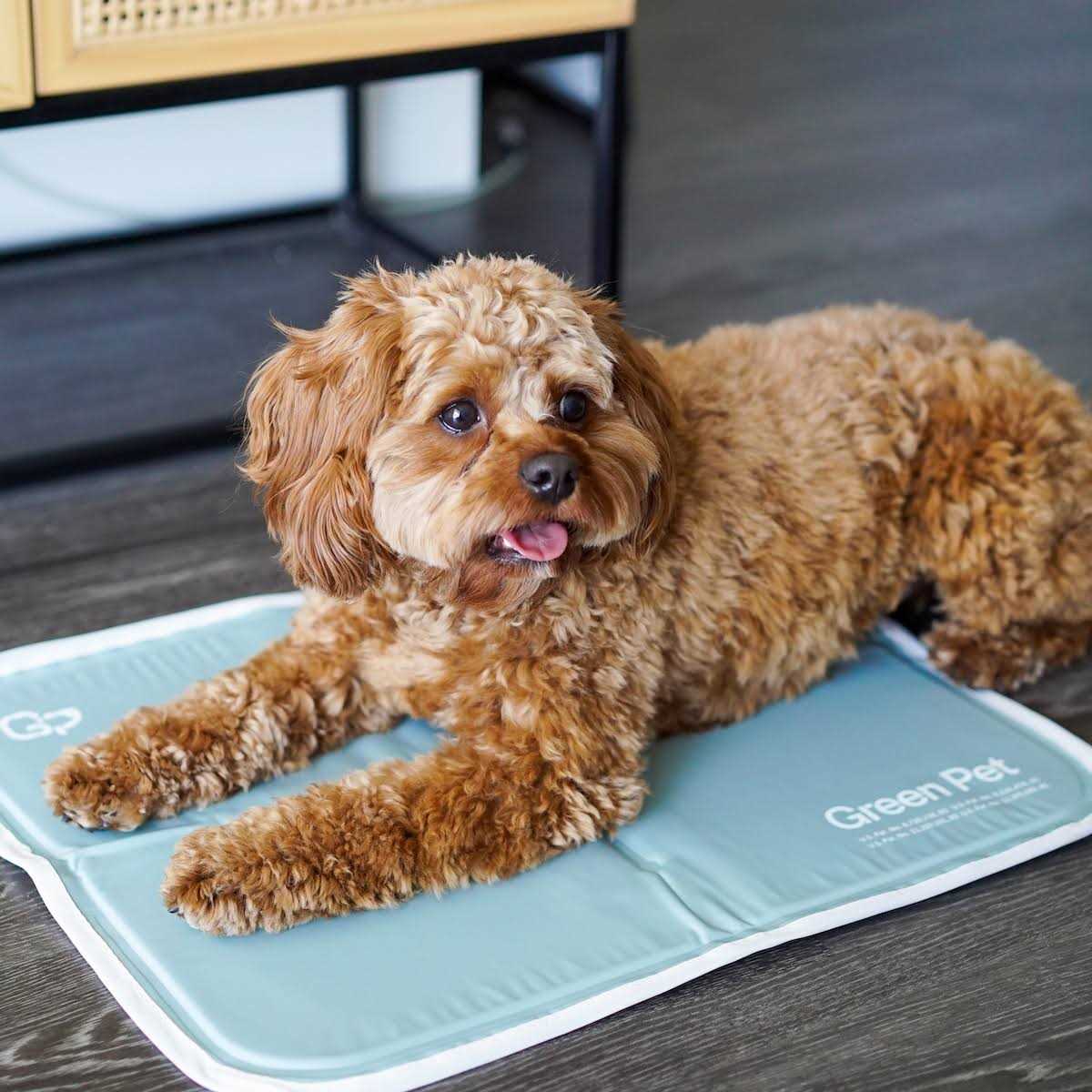 Sage Gray Self Cooling Pet Pad Y70179