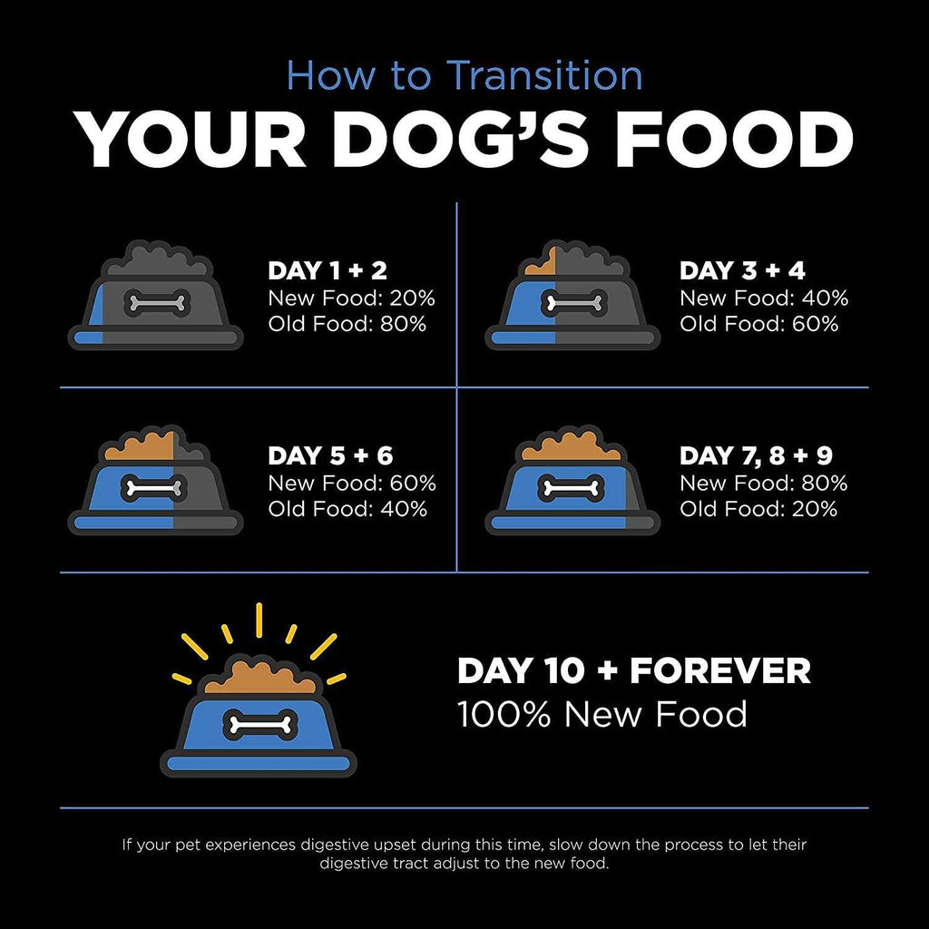 Chicken Recipe Dry Dog Food S358