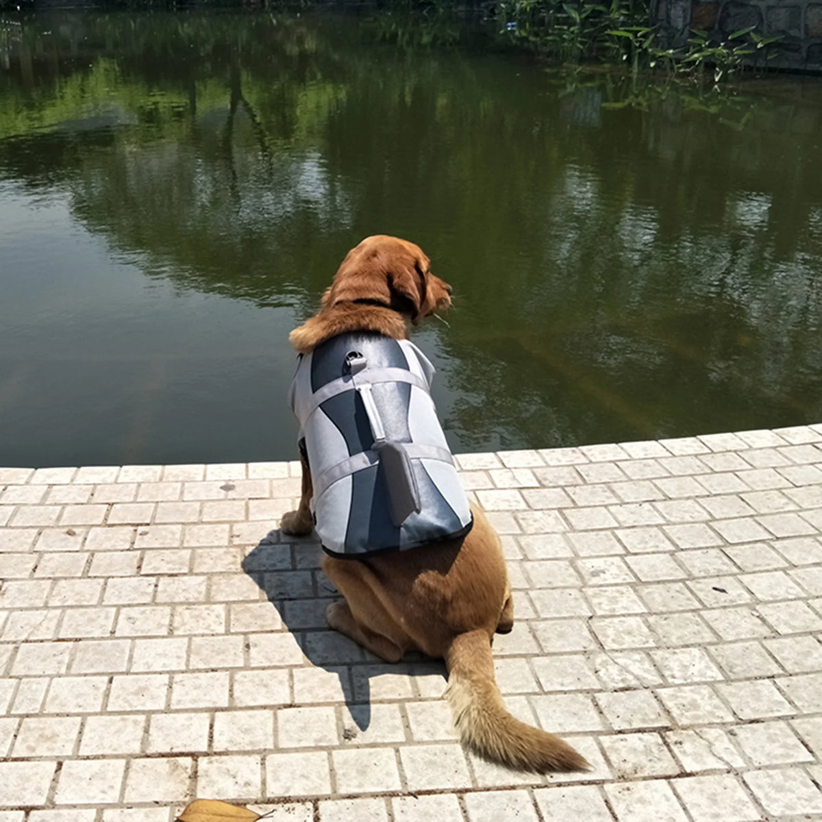 Lifejackets L43735